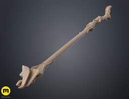 Viktor's Hex Staff - Arcane Act 2 3d model