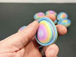 R7 Gyro Egg Fidget | Layered Shell Fidget Toy with Hidden Cavity | R7Makers 3d model