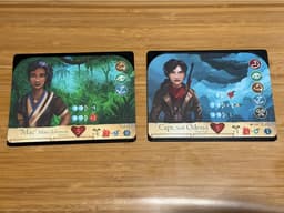 Sleeving Gods character board storage redesign 3d model