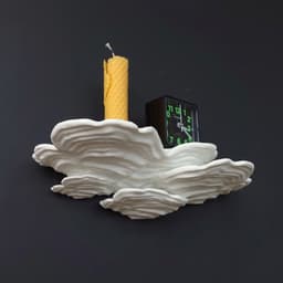 Mushroom shelf “ Stereum Ostrea” 3d model