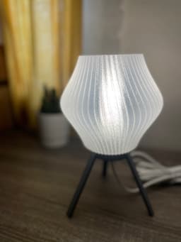 Twisted Design Lampshade 3d model