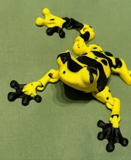 Poison Dart Cinder Frog! 3d model