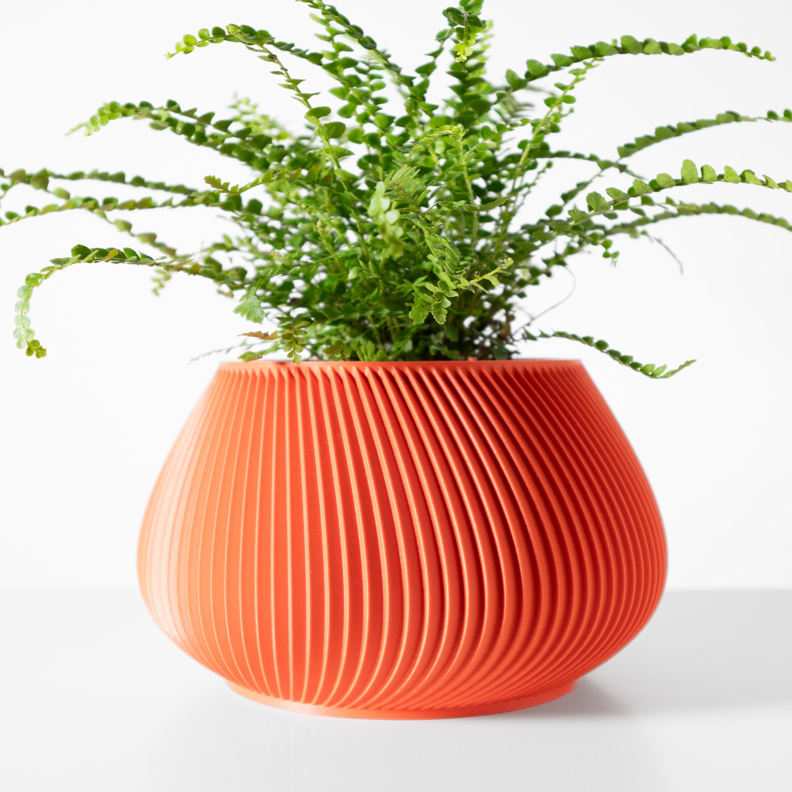 The Davi Planter Pot with Drainage Tray & Stand: Modern and Unique Home Decor for Plants 3d model