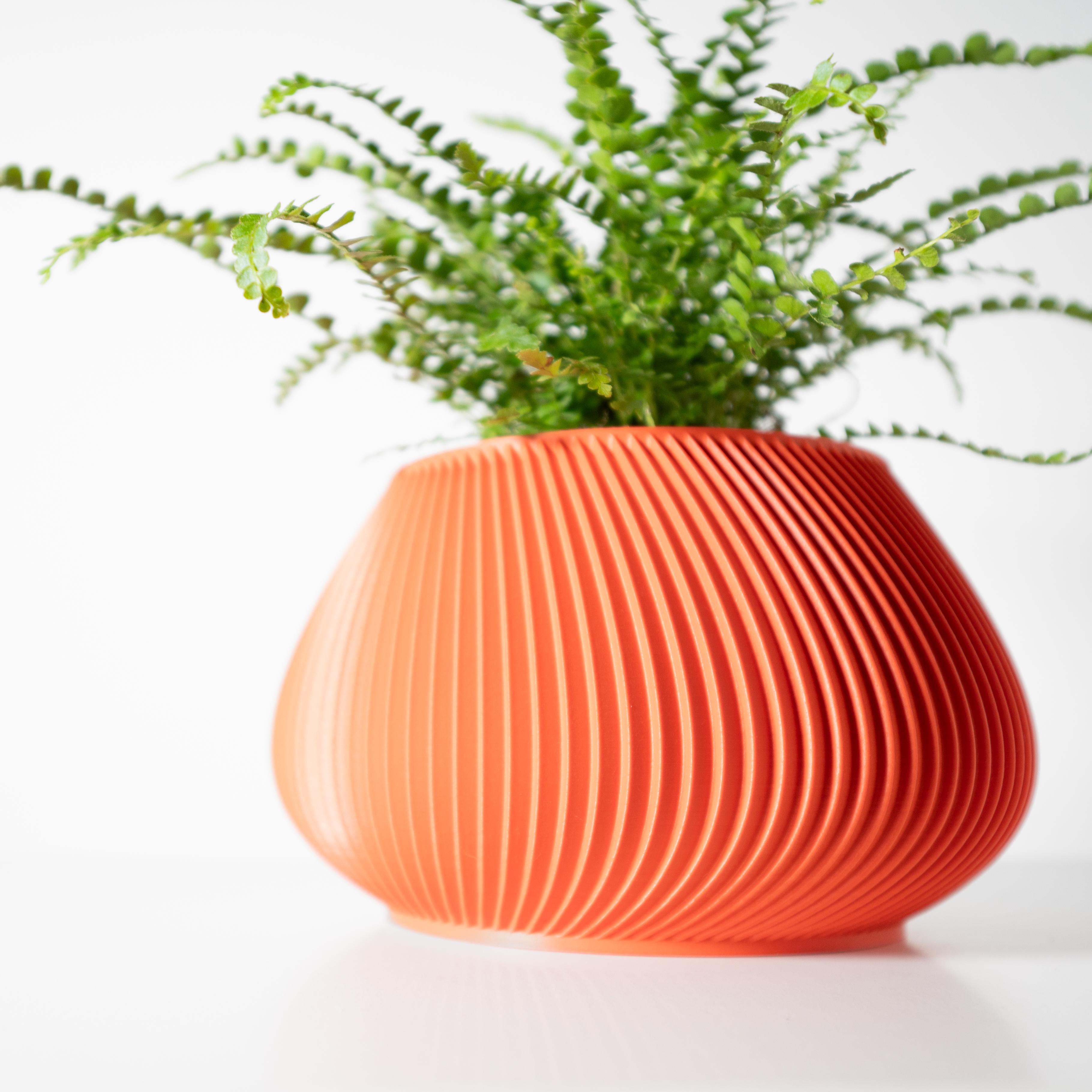 The Davi Planter Pot with Drainage Tray & Stand: Modern and Unique Home Decor for Plants 3d model