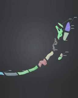 Kena's Bow - Kena: Bridge of Spirits 3d model