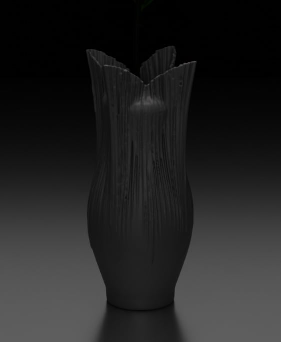 Velum 3d model
