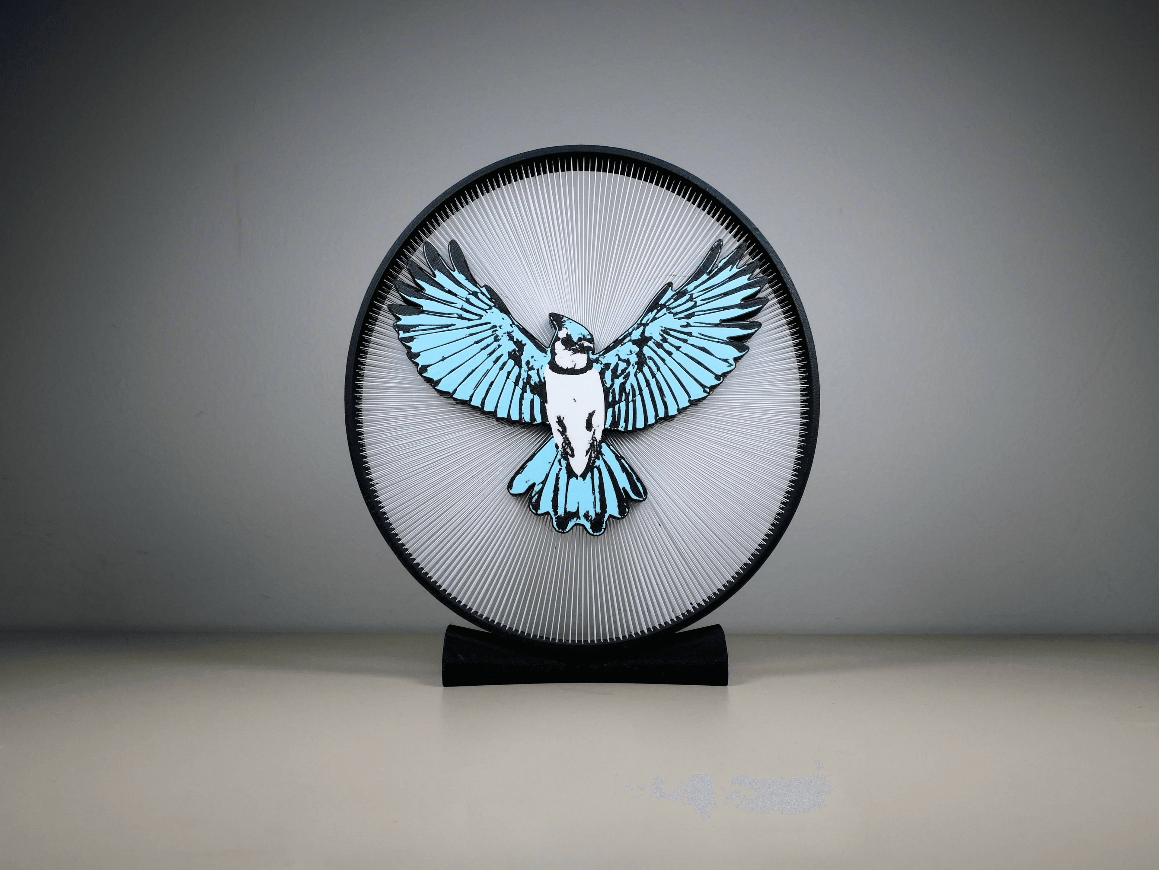 Blue Jay Bird String Art 3d model