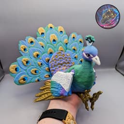 Flexi Peacock 3d model