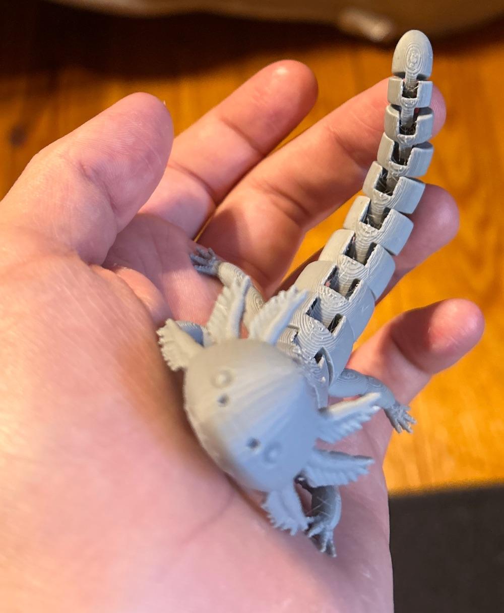 Articulated Axolotl v2.stl - bed adhesion issues first time around but second try turned out good :) - 3d model