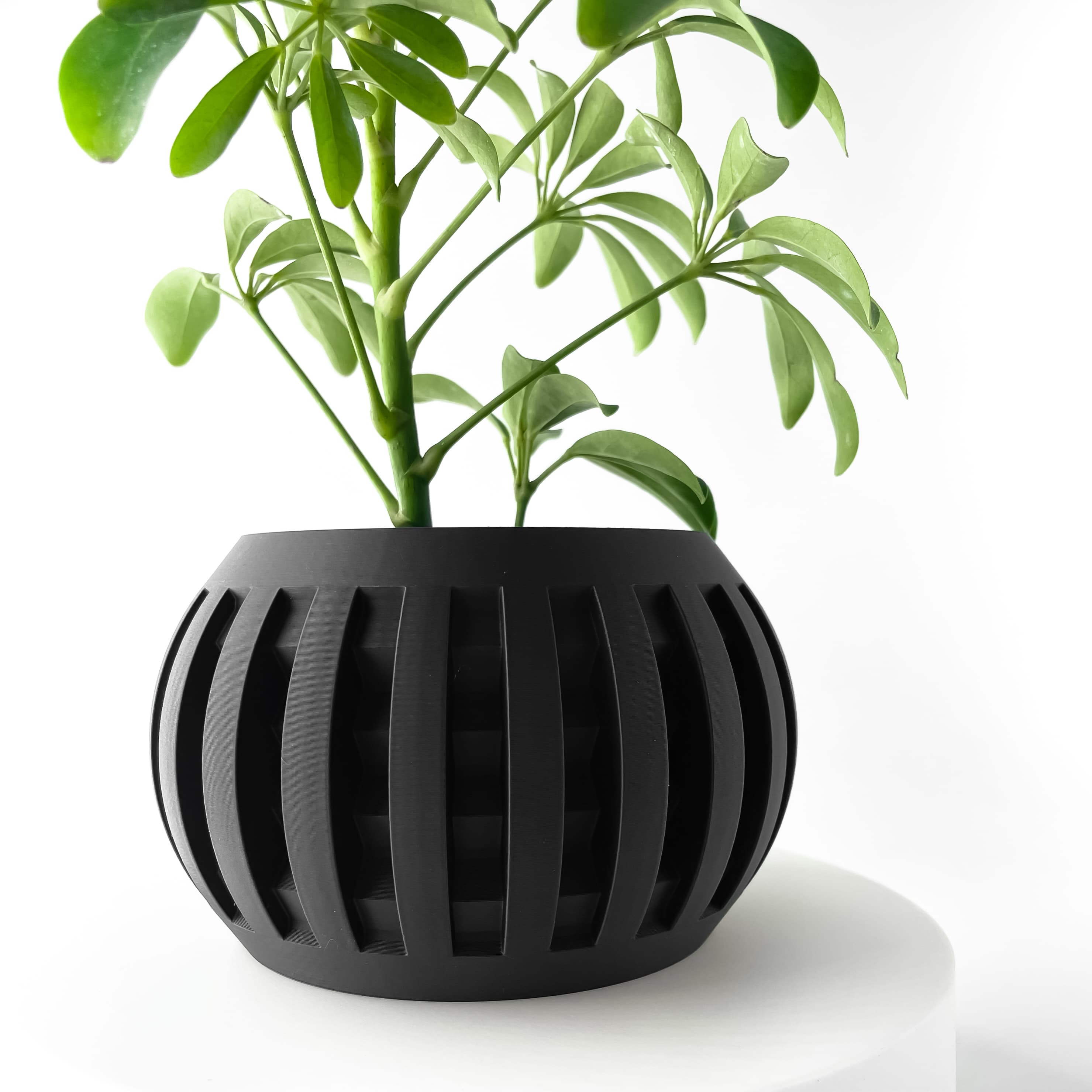 The Amada Planter Pot with Drainage Tray & Stand | Modern and Unique Home Decor for Plants 3d model