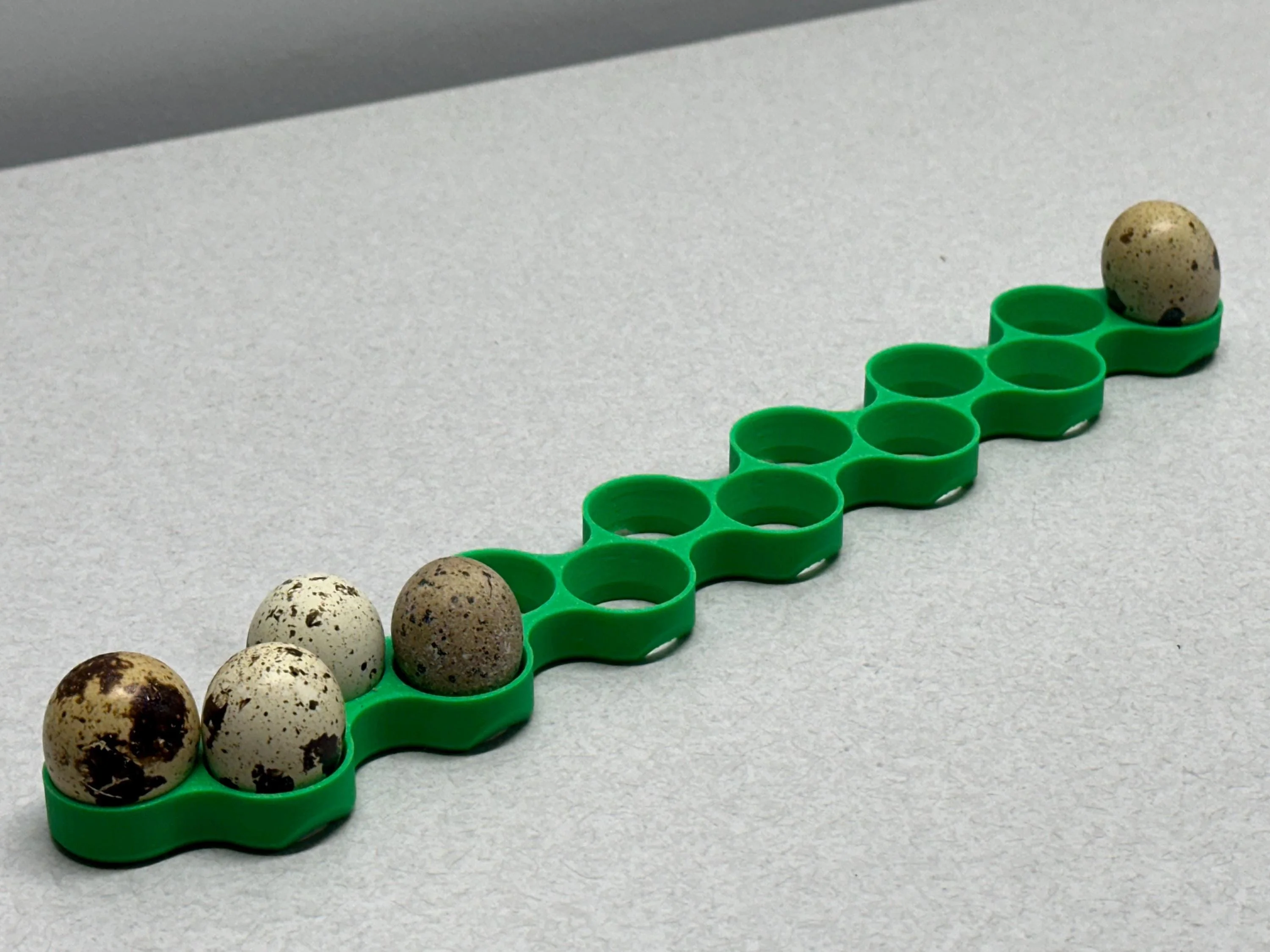 Brinsea Incubator RegularQuail Egg Tray (14 eggs) 3d model