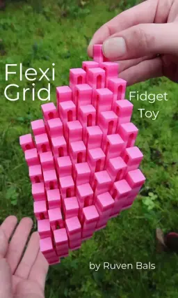 Flexi Grid Fidget Toy 3d model