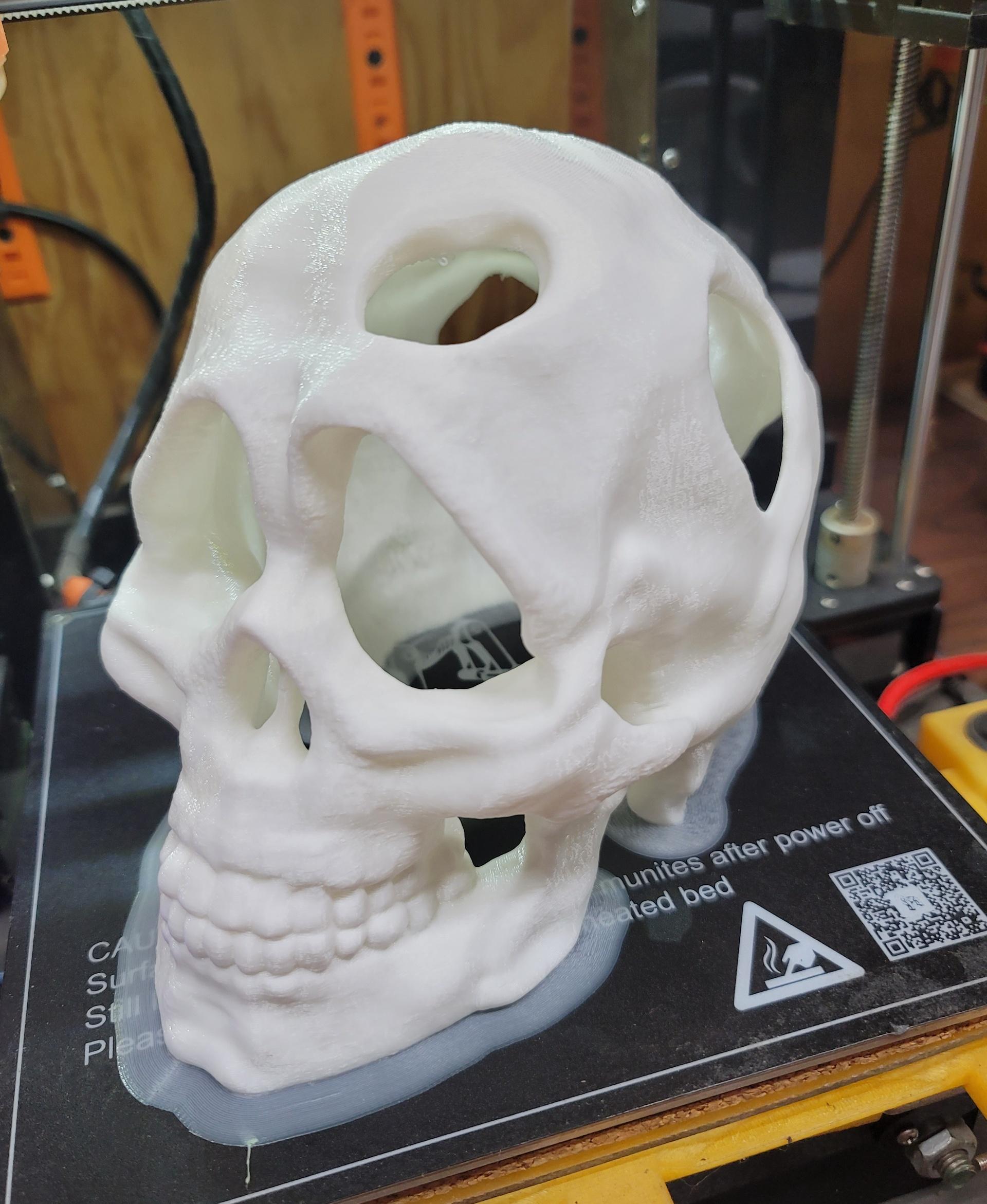 Wooden skull mushroom planter 3d model