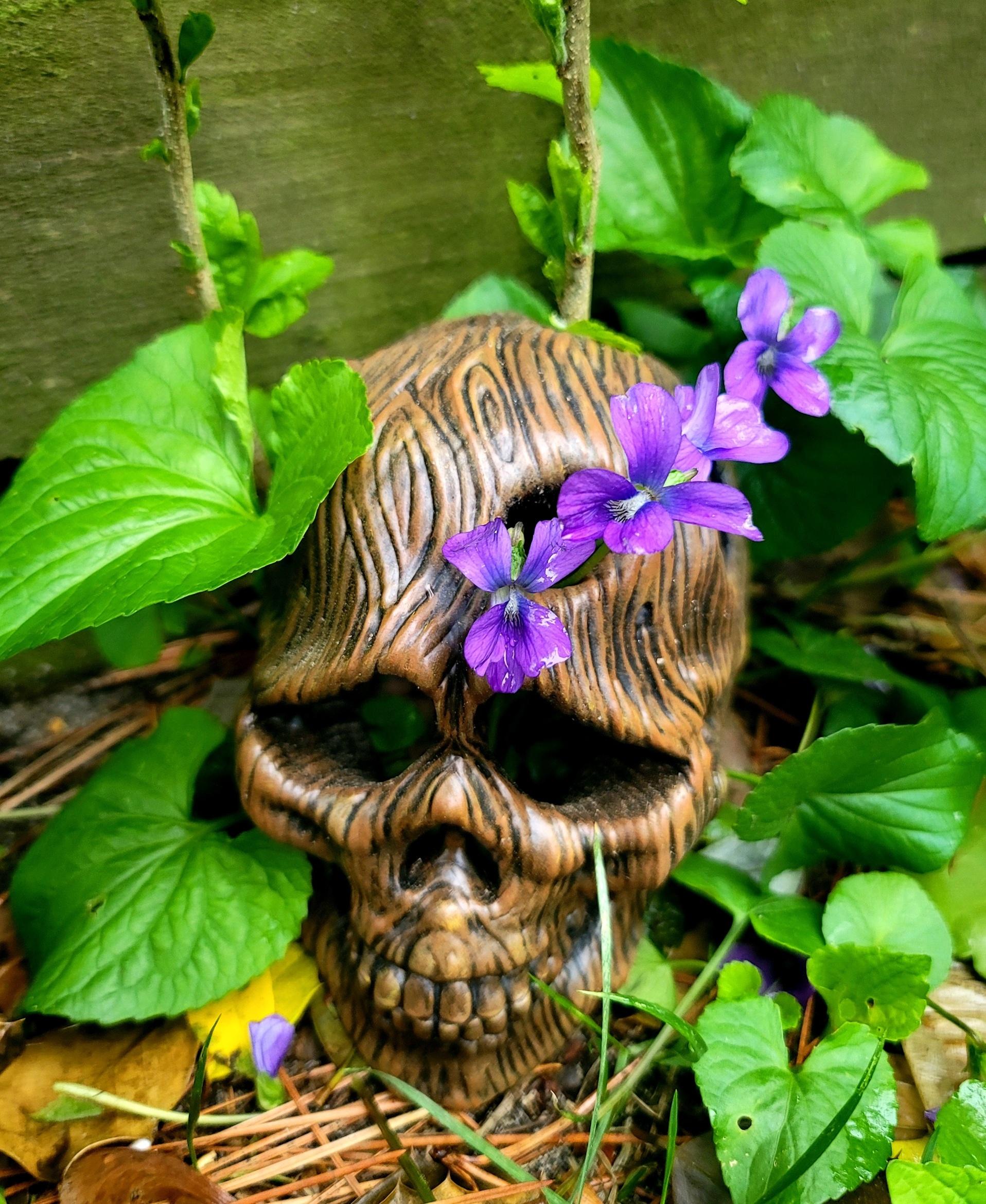 Wooden skull mushroom planter 3d model