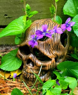Wooden skull mushroom planter 3d model