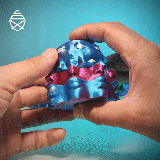 Multi Face Fidget 3d model