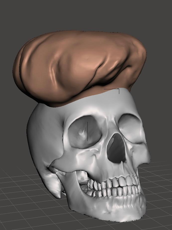 chef skull 3d model