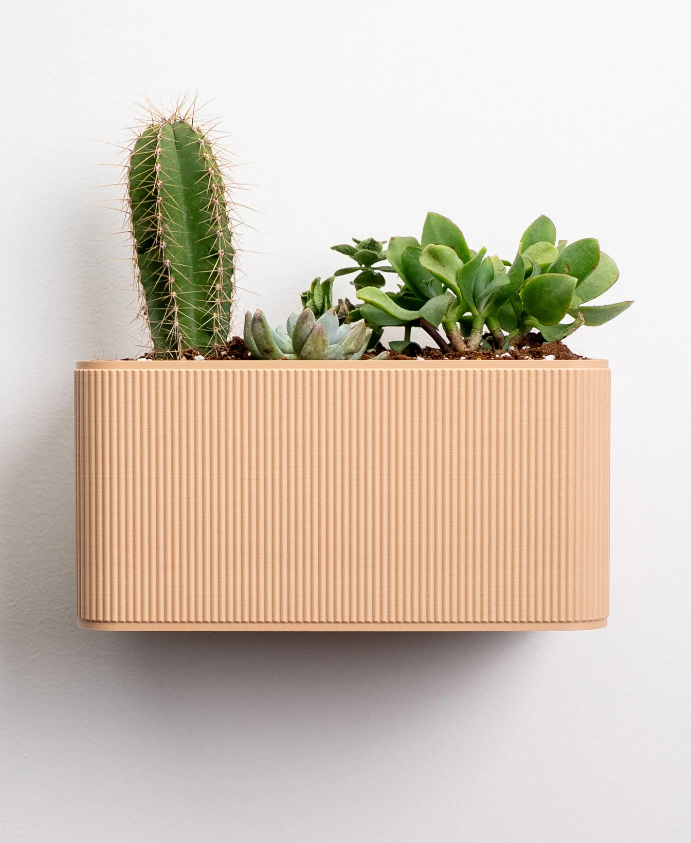 Rectangular Wall Planter 3d model