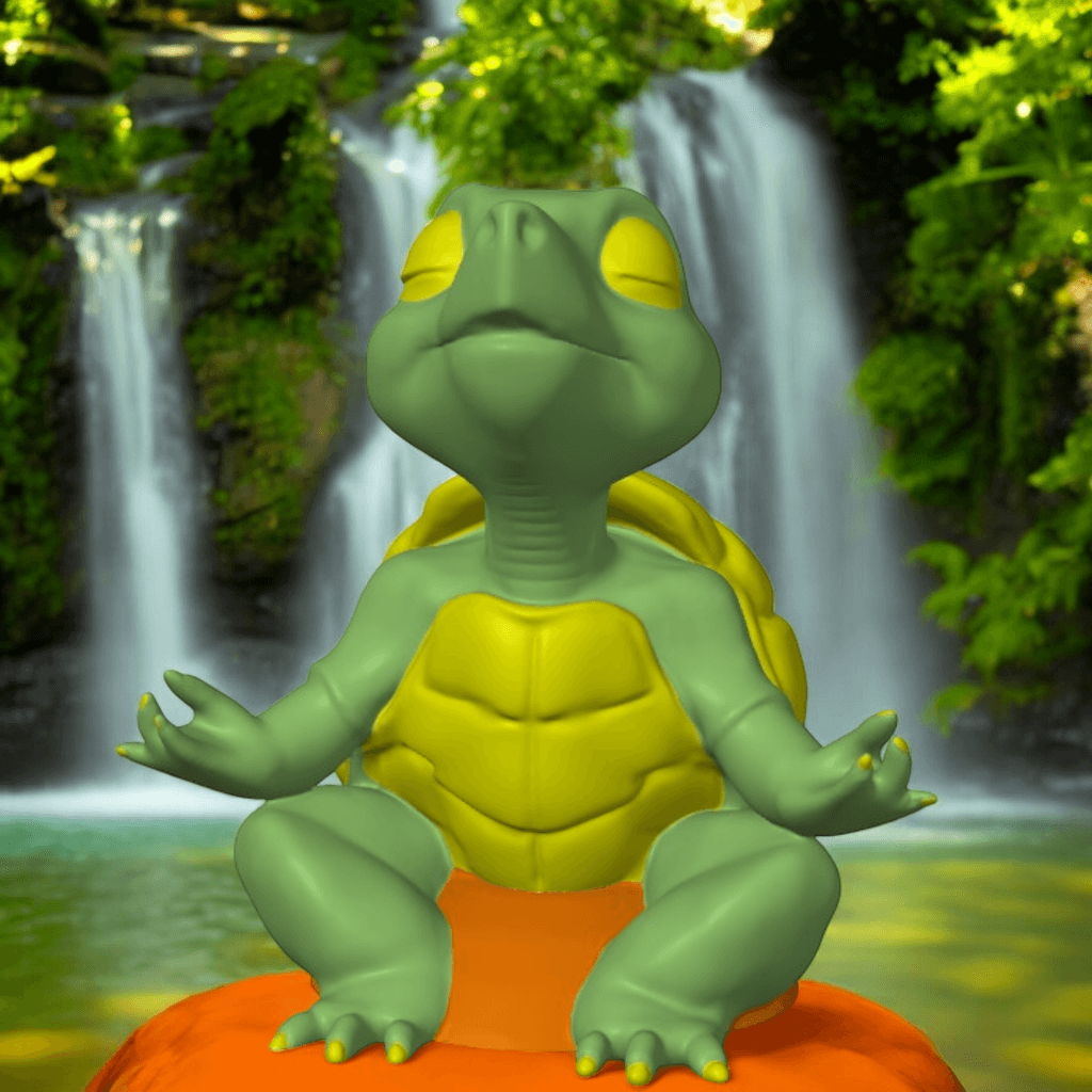 Turtle Meditating 3d model