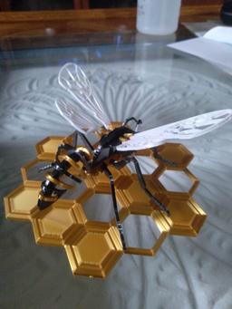 wasp - bee on honeycomb