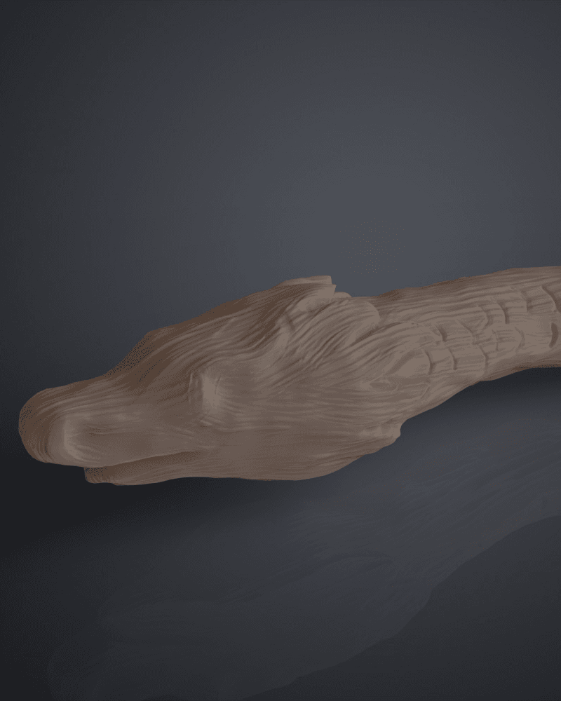 Dragon Heartstring Wand - Harry Potter 3d model
