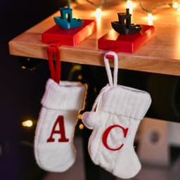 Weighted Christmas Stocking Hanger 3d model