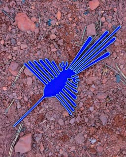 Palpa Hummingbird 3d model