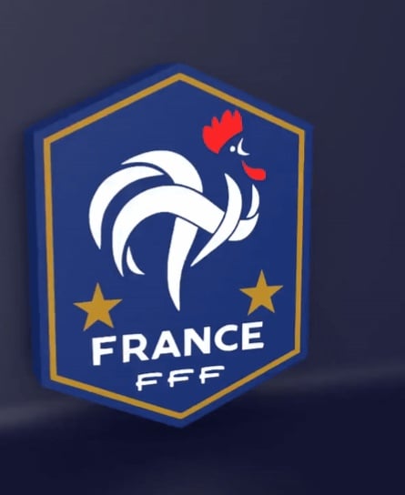 France National Team (FFF) - LED strip compatible 3d model
