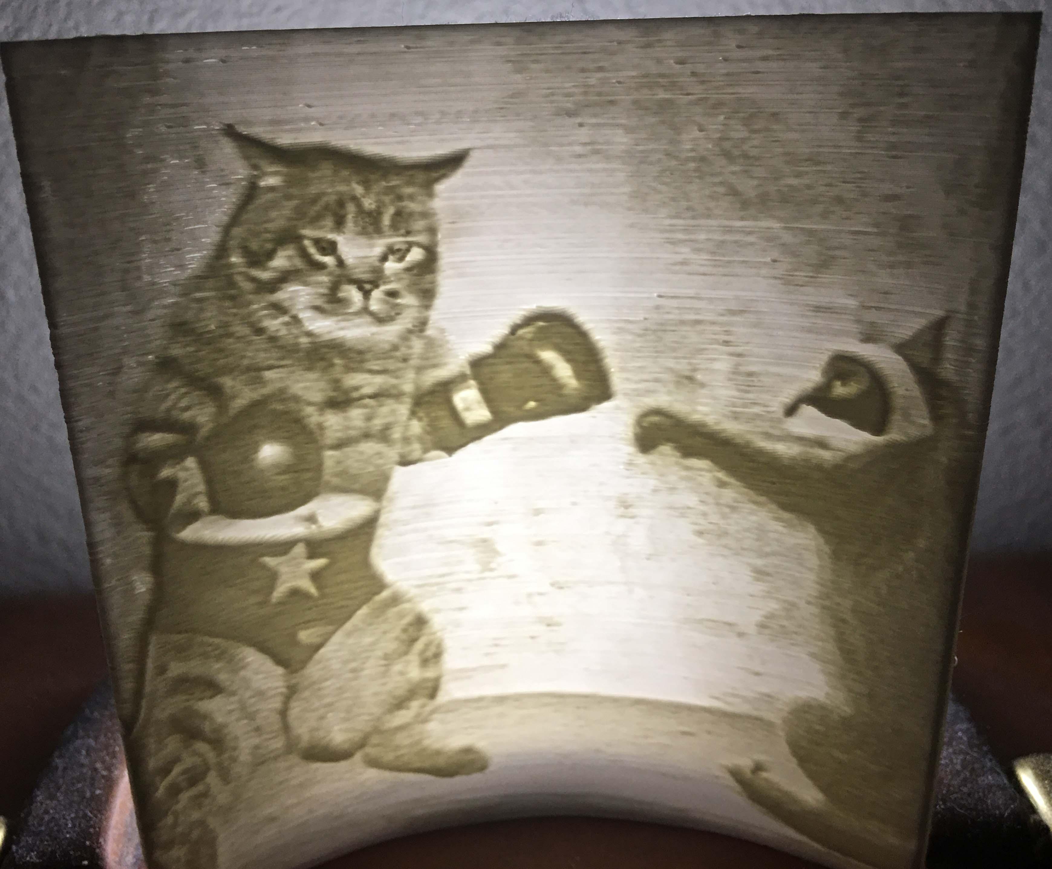 Lithophane of a Cat Fighting a Racoon 3d model