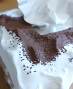 Tissue box tiramisu 3d model
