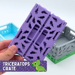3D Printable Dino Crates (4 Different Variations) 3d model