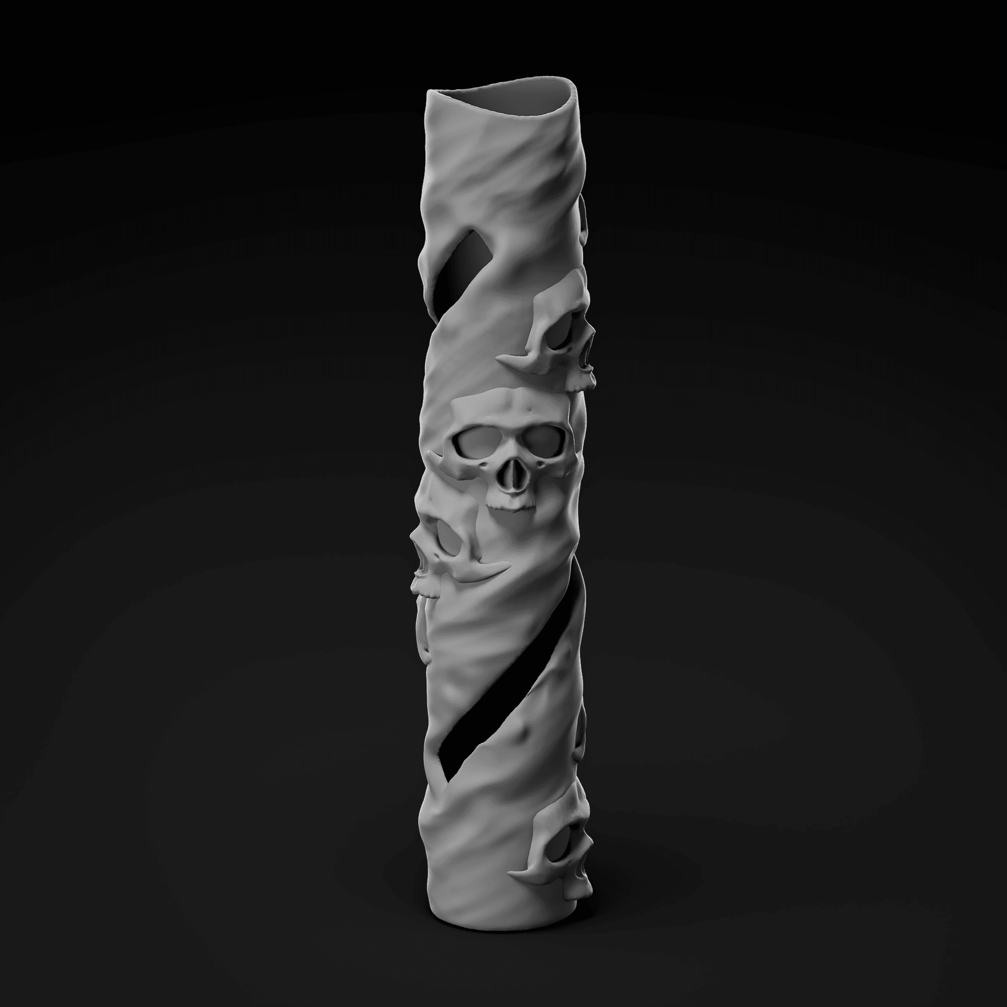 Kiwi Spark Skull Cover 3d model