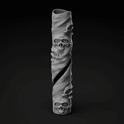 Kiwi Spark Skull Cover 3d model