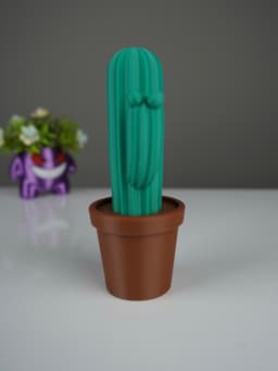 Cactus Desk Orgnizer 3d model