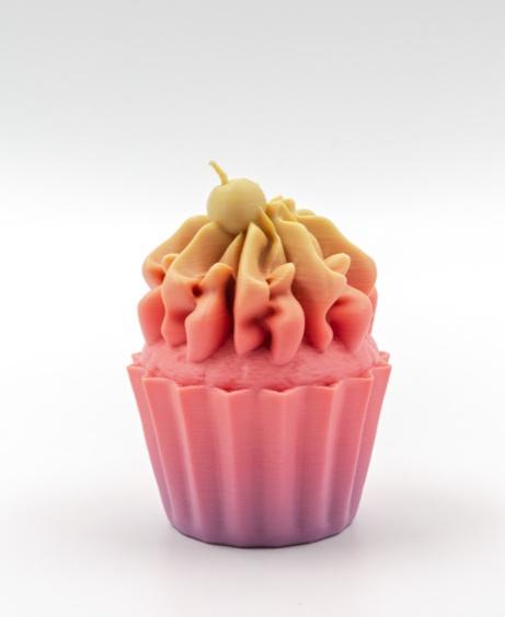 Cupcake with Fluff & Cherry +MMU Files 3d model