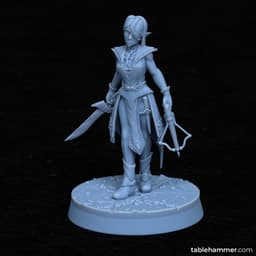 Arithmea - Elf Demon Huntress 3d model