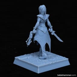 Arithmea - Elf Demon Huntress 3d model