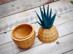 Pineapple Container 3d model
