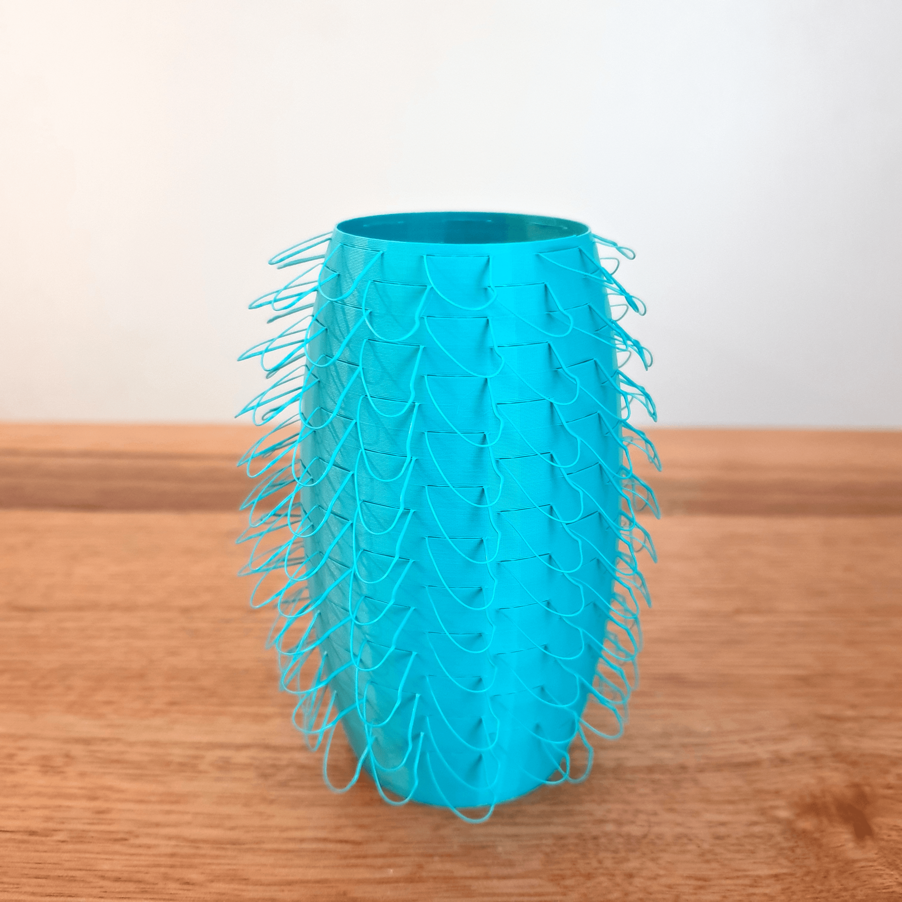 Beginner Loopy Vase 3d model