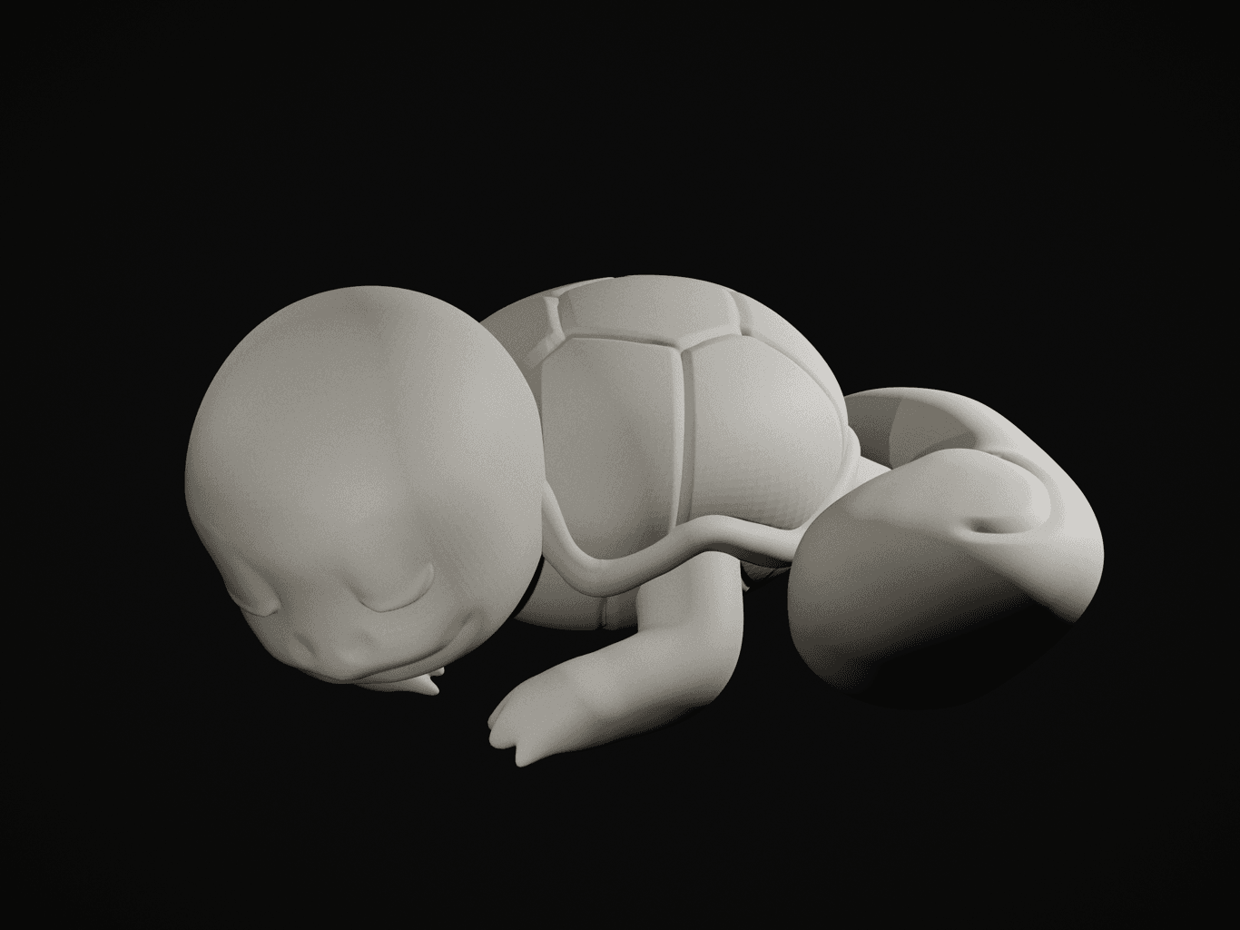 Sleepy Squirtle 3d model