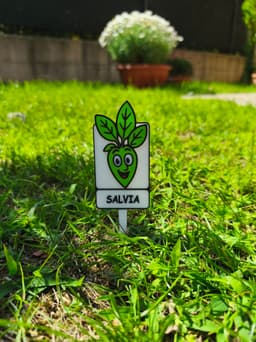 Etichette Orto con Facce Divertenti 3d model