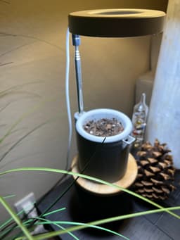 Self Watering Planter 3d model