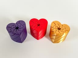 Twisty Heart Fidget 3d model