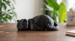 The Slumbering Cats Series: #6 3d model