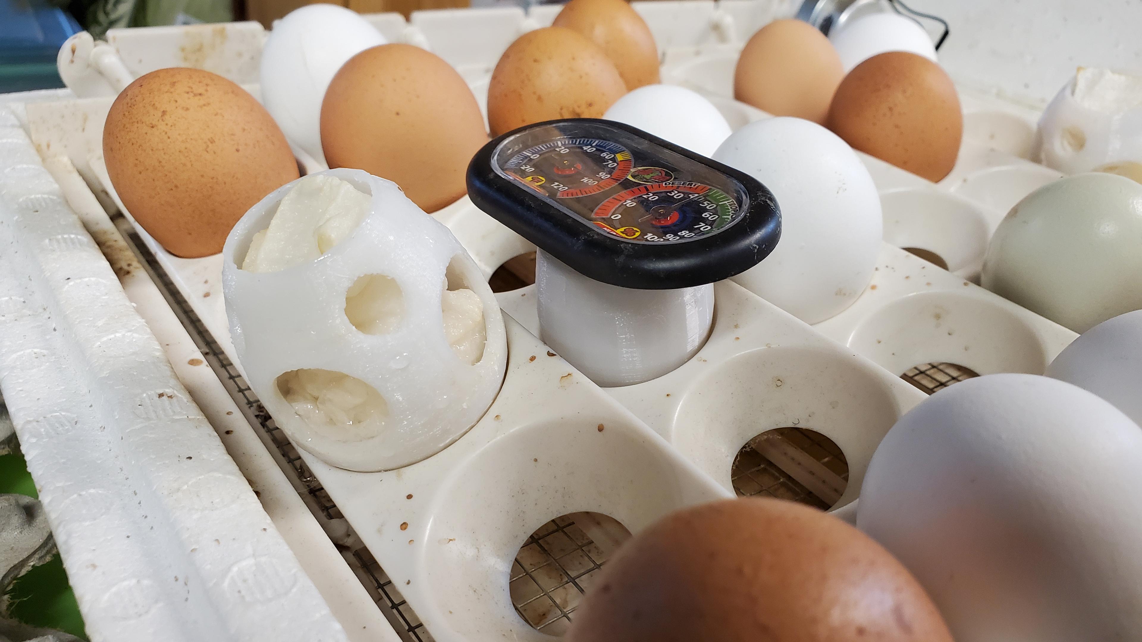 incubator humidity egg 3d model