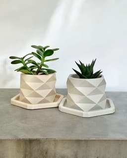 TERRAHEX succulent mini origami planter 3d model
