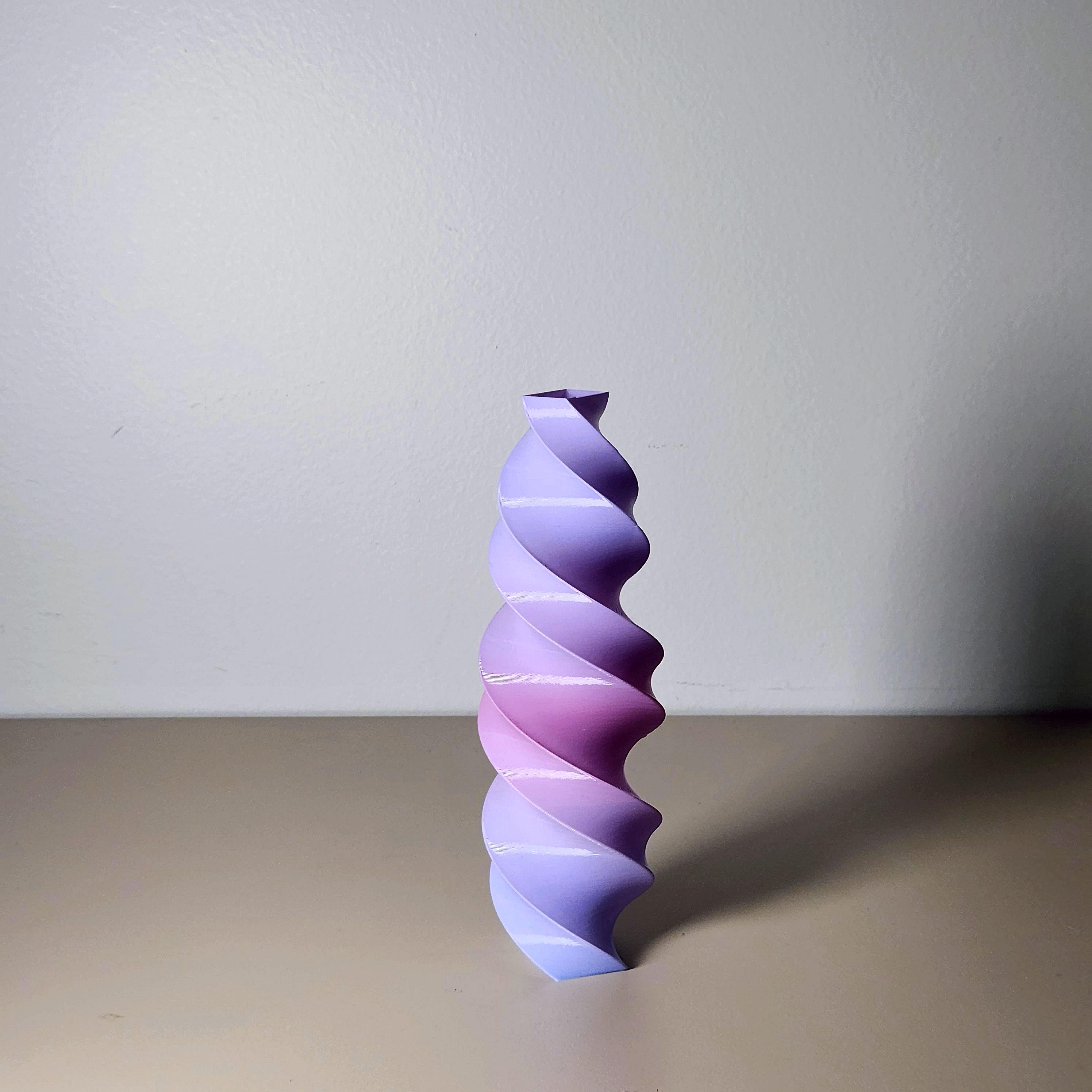 Twisted Rectangle Vase 2 3d model