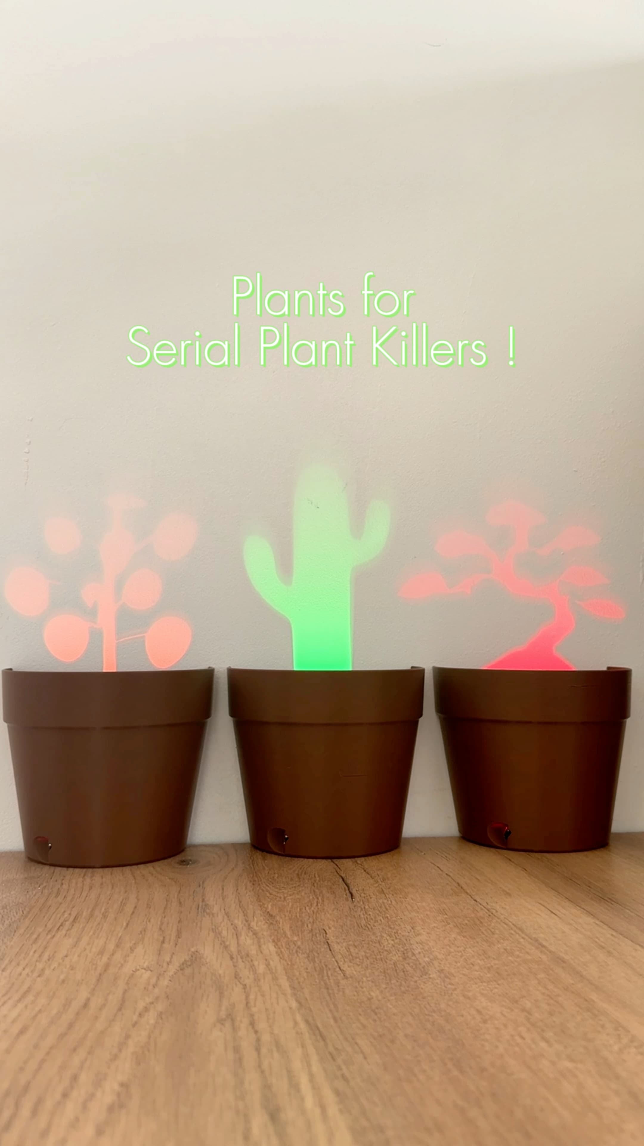 Plants for people how always kill their plants !