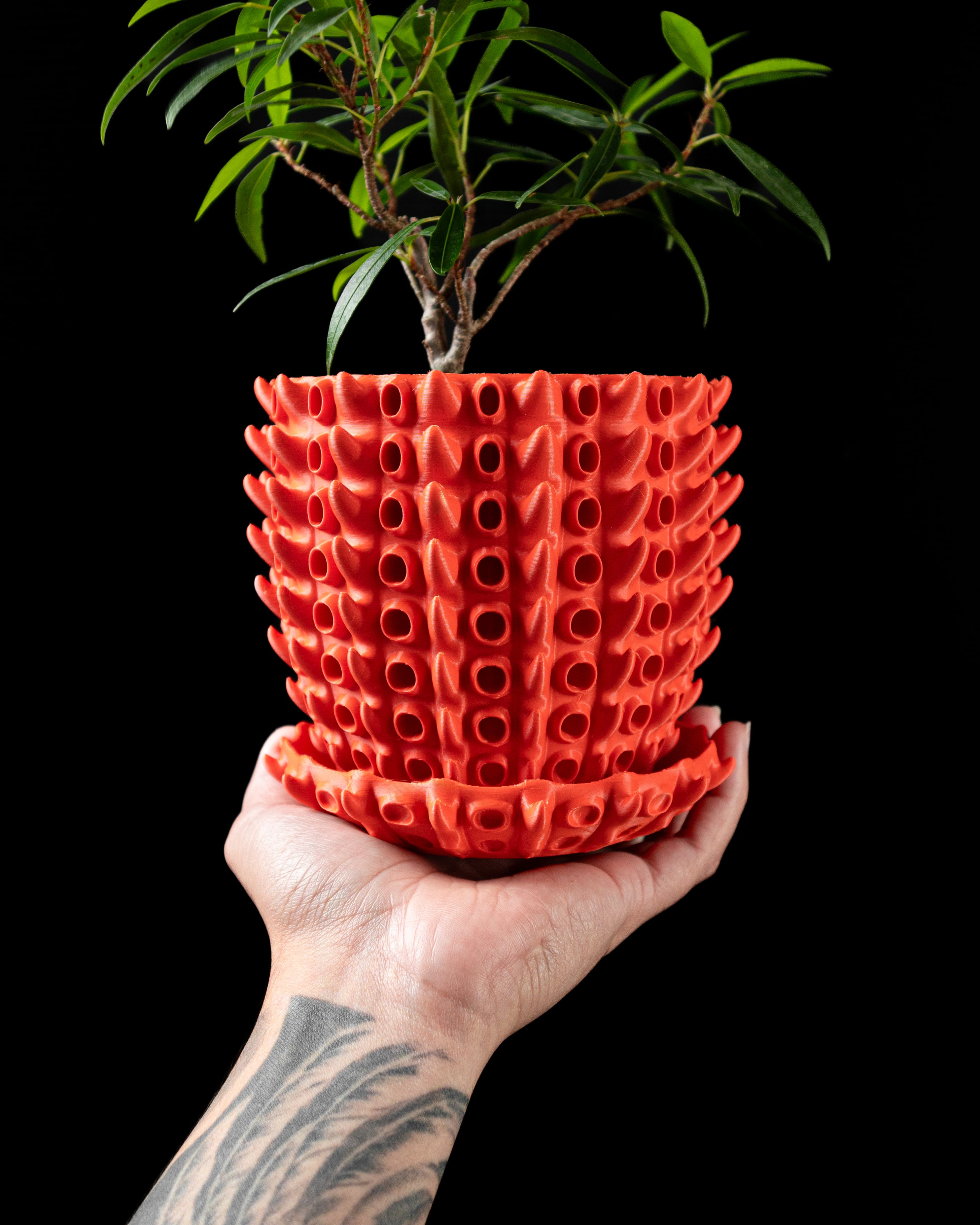 Barnacle Planter Pot by MODERN MACHINE 3d model