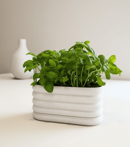 Aerodrain Planter 3d model